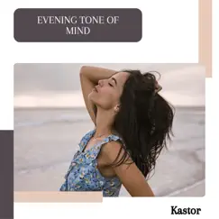 Evening Tone of Mind - Single by Kastor album reviews, ratings, credits