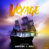 Voyage artwork