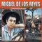 Fiesta Gitana - Miguel de los Reyes lyrics