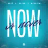 Now Or Never - Single album lyrics, reviews, download