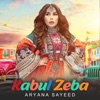 Kabul Zeba - Single