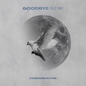 Goodbye Ole Me artwork