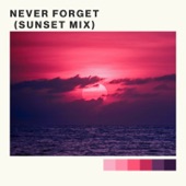 Never Forget (Sunset Mix) artwork