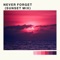 Never Forget (Sunset Mix) artwork