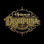 Disciplina artwork