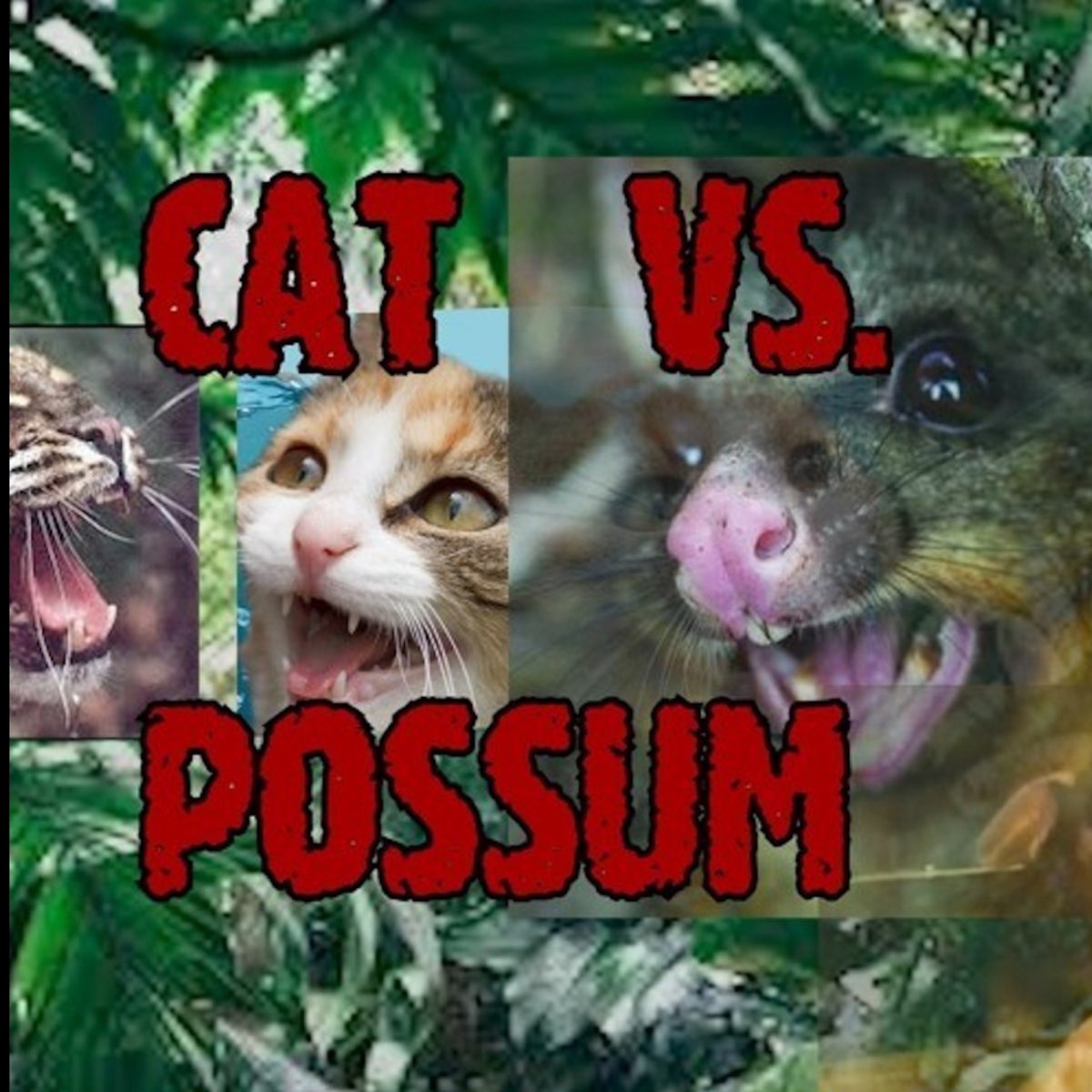 ‎Cat vs. Possum (Mixtape) [Special Version] - EP by Tasman X on Apple Music