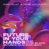 Future In Your Hands (feat. Aloe Blacc) [Futuristic Polar Bears Remix] - Single