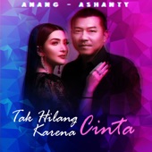 Tak Hilang Karena Cinta artwork