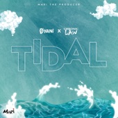 Tidal (Sped Up) artwork
