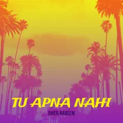 Tu Apna Nahi - Single by Omer Nadeem album reviews, ratings, credits