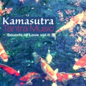 Kamasutra Tantra Music, Vol. 5: Sounds of Love artwork