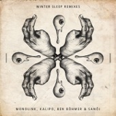 Winter Sleep (Remixes) - EP artwork