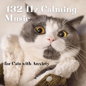 432 Hz Calming Music for Cats with Anxiety artwork