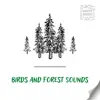 Birds and Forest Sounds for Relaxation with White Noise, Loopable album lyrics, reviews, download