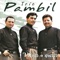 Como Han Pasado los Años - Trío Pambil lyrics