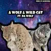 A Wolf & Wild Cat (feat. DA-WOLF) - Single album lyrics, reviews, download