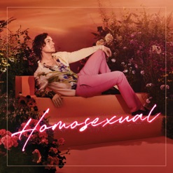 HOMOSEXUAL cover art