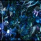 ONENESS M ジャケット写真
