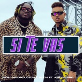 Si Te Vas (feat. Anivelpro) artwork