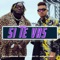 Si Te Vas (feat. Anivelpro) artwork