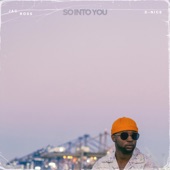 So Into You (feat. D-Nice) [D-Nice Sped Up Mix] artwork