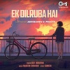 Ek Dilruba Hai (Lofi Mix) - Single