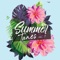 Beach Fun cover