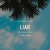 Liar - Single