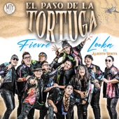 El Paso de la tortuga (feat. Alberto Benitta) artwork