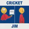 Foundations, Vol. 2 (Cricket Jim) album lyrics, reviews, download