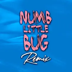 Numb Little Bug (Instrumental Club Mix, 120 BPM) Song Lyrics