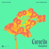 Corocito by KVSH, Tim Hox, Cumbiafrica