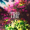 Trip - Single