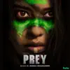 Prey (Original Soundtrack) album lyrics, reviews, download