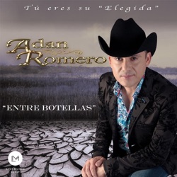 Adan Romero - La Elegida