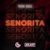 The Him - Señorita