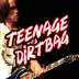 Teenage Dirtbag - Single album cover