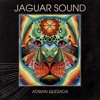 Adrian Quesada & Ocote Soul Sounds - Starry Nights (feat. Neal Francis)