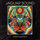 Adrian Quesada - Starry Nights feat. Neal Francis