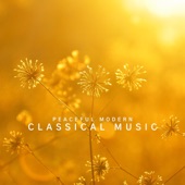 Peaceful Modern Classical Music artwork