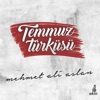 Temmuz Türküsü