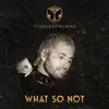 Tomorrowland 2022: What So Not at Crystal Garden, Weekend 1 (DJ Mix) album lyrics, reviews, download