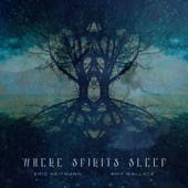 Where Spirits Sleep artwork