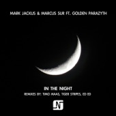 In the Night (feat. Golden Parazyth) [Timo Maas Remix] artwork