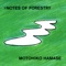#NOTES OF FORESTRY - Motohiko Hamase lyrics