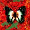 Ed Sheeran - 2step (feat. Denise Chaila)