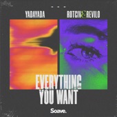 Everything You Want artwork