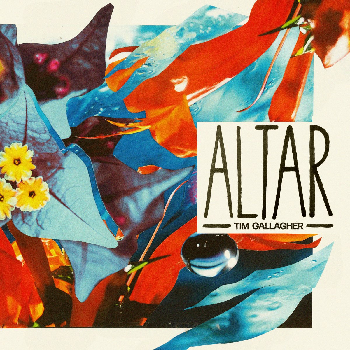 Altar - Single by Tim Gallagher on Apple Music