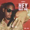 Hey Bad Boi - Single album lyrics, reviews, download