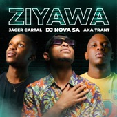 Ziyawa (feat. Jager Cartal, Aka Trant & Lunatik) artwork